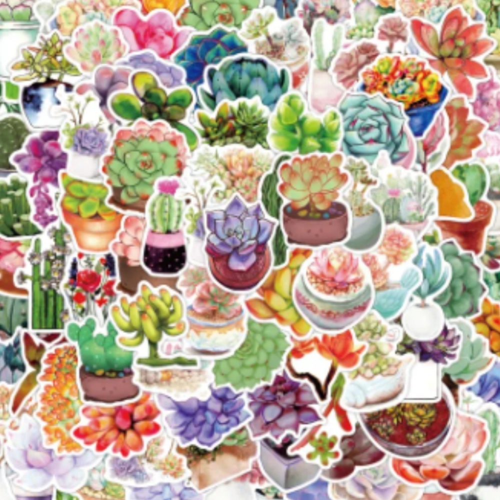 NEW 50 stickers vinyl succulents & cactus 🌵